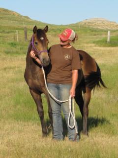 Pictured as a yearling